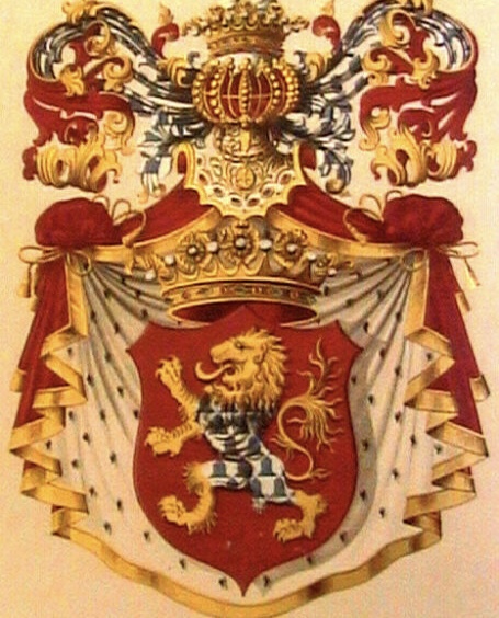Coat of arms of the family 